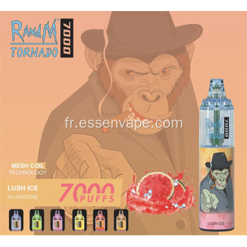 Valette chaude préfecte vape randm tornado 7000puffs Poland